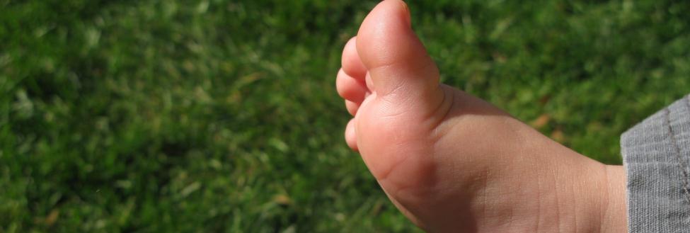 Walking the Journey...