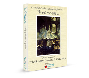 Orchestra 3-d book copy