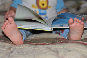 digging-in-the-word-compres