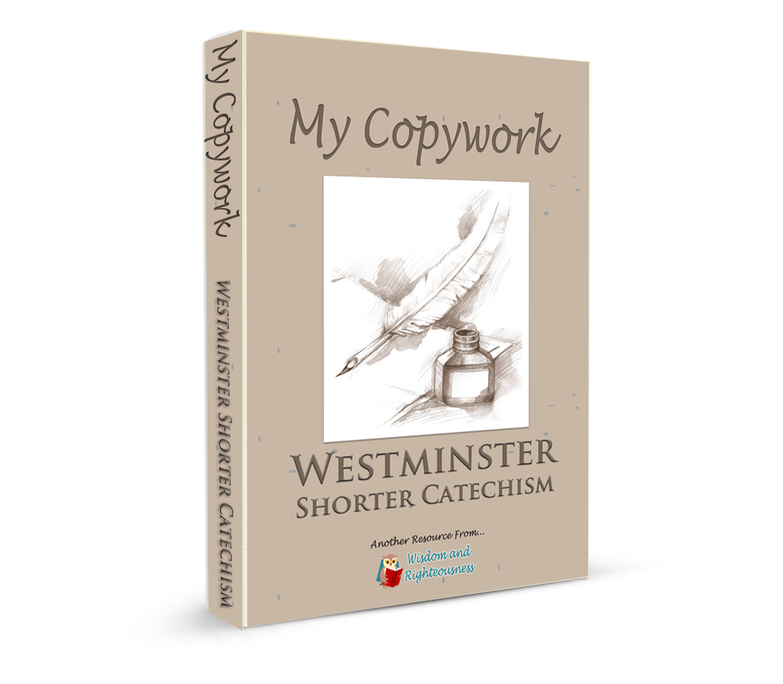 Copywork 3-d book WSC