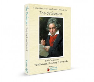 Orchestra 3-d book copy