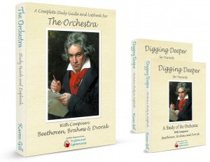 Orchestra 3-d book with Digging Deeper Resource